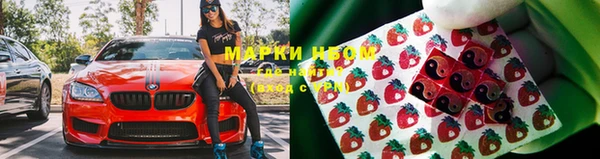 дживик Белокуриха