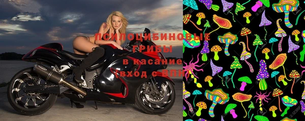 дживик Белокуриха