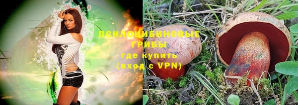 дживик Белокуриха