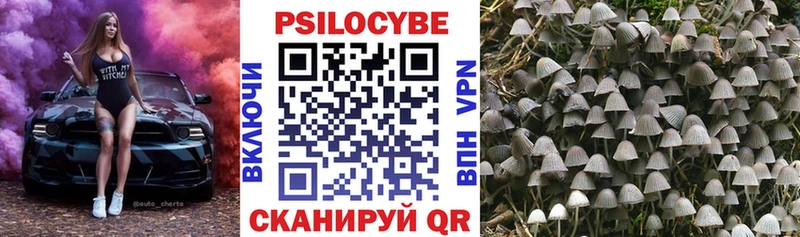 наркошоп  Бобров  Галлюциногенные грибы прущие грибы 
